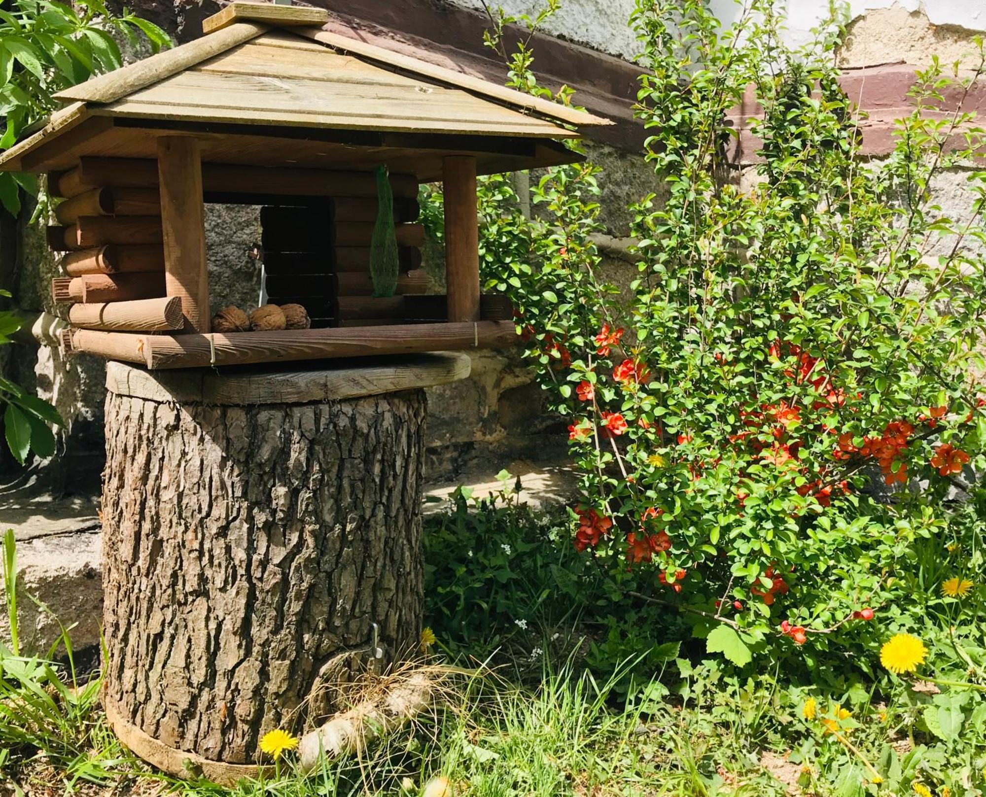 Apartamenty Pod Skocznia Karpacz Ruang foto